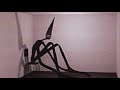 The Pink Hallway Found Footage