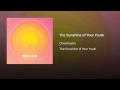 The Sunshine of Your Youth 