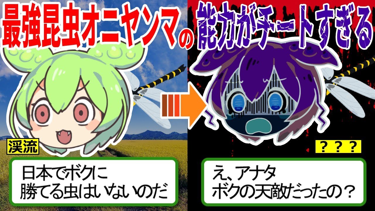 日本最強昆虫 オニヤンマの能力がチートすぎる・・・【ずんだもん ゆっくり解説　オニヤンマ】