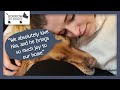 Why I Borrow A Dog Take The Lead 2