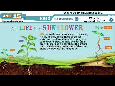 Oxford Discover 3   Unit 15   Read along   The Life of a Sunflower