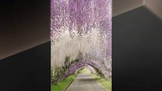 Download lagu Boulevard - Dan Byrd ( lirik dan terjemahan ) mp3 Download lagu Boulevard - Dan Byrd ( lirik dan terjemahan ) mp3