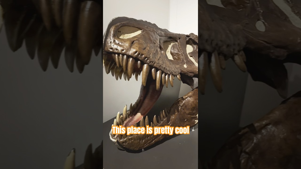 YouTube Short thumbnail