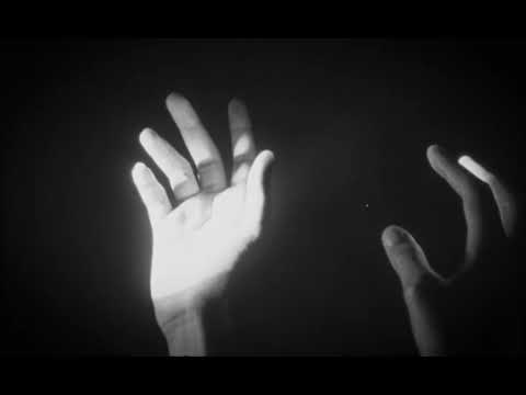 WILLOW - petal rock black feat. george clinton (Official Visualizer)