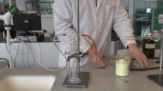 Download lagu 28 BASIC REAGENTS mp3