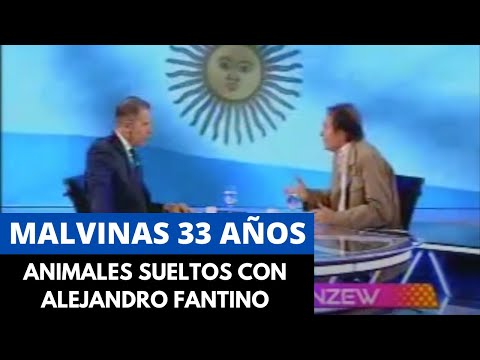 Malvinas 33 años - Animales Sueltos