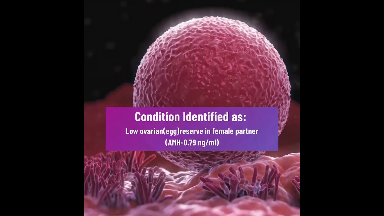 IVF Success Story — Patient of Dr Bhavana Nallapu, Kompally