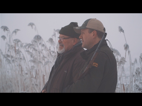 NL Hunt - Fox hunting in Groningen and Drenthe part 2