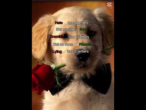 Always choose positive