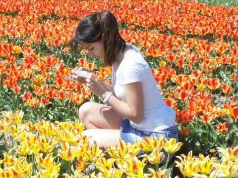 AVE MARIA Caccini / Vavilov INESSA GALANTE  (2008) - Flowerfields Netherlands (Info)