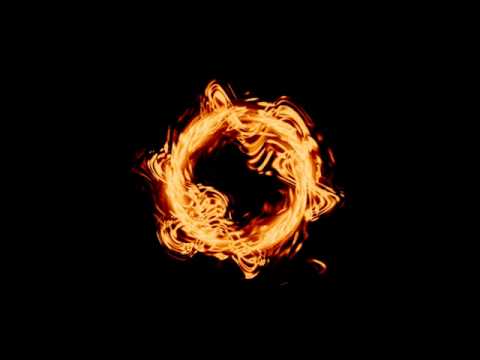 Hidden Orchestra - The Burning Circle.