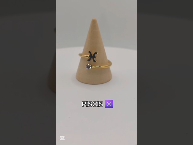 Vídeo relacionado con PartyKindom Anillo Abierto Ajustable Acero Inoxidable Moda para Mujer Uso Diario Signo Zodiacal Acuario Diseño Minimalista