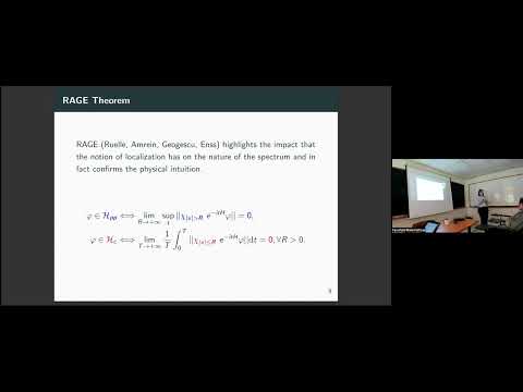 Dirac operators in a decaying random environment: dynamics and spectral statistics - Amal Taarabt