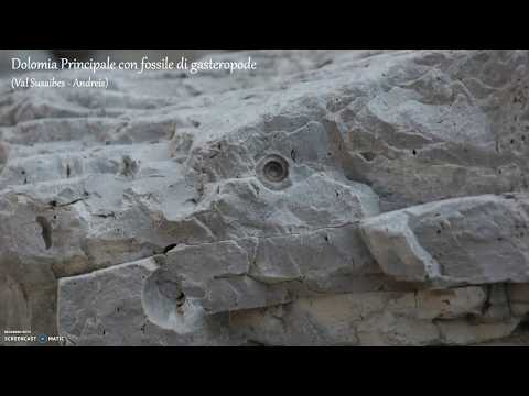 Racconti dalle rocce