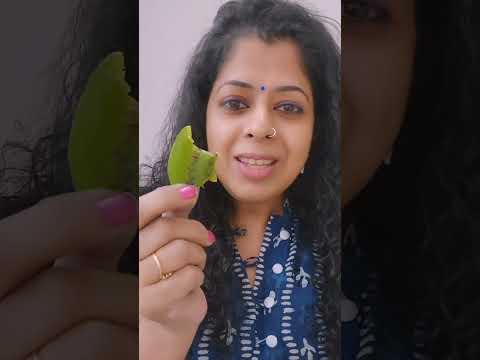 Review dry fruits nuts Sheeja | blessisvlogs