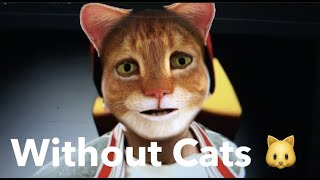 Eminem - Without Me Parody - Without Cats