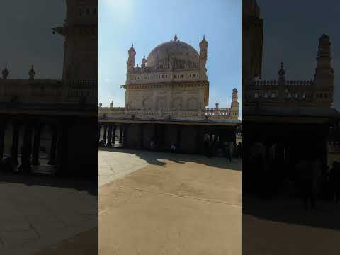 Finding Her| Kushagra| Aesthetic Status #youtubeshorts#youtube#shortvideo#trending#nature#photograph