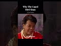 Why the Caged Bird Sings | Maya Angelou’s Powerful Truth #thinkpoetry #iloveyou #literature