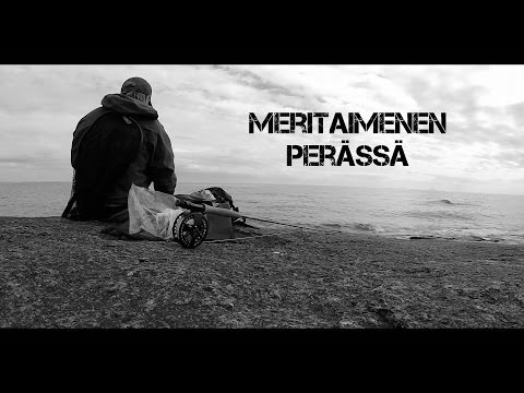 Meritaimen perhokalastus - Sea trout fly fishing