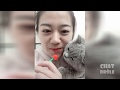 Mort De Rire Incroyables Animaux