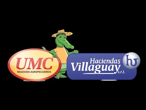 Remate -  Destetes de la Tierra Colorada - 25/03/2023 desde Posadas, Misiones.