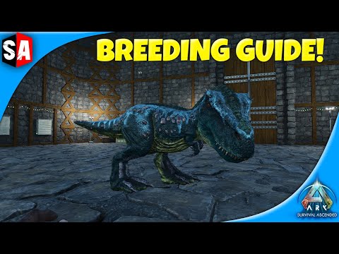 Breeding Guide | Ark Survival Ascended