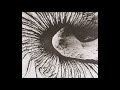 Joseph Arthur  - Cockteeze