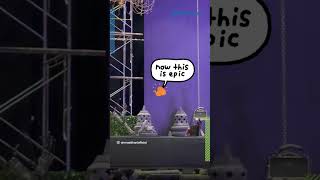 Saingi Irwan Mussry, Ahmad Dhani Sesumbar Biayai Ngunduh Mantu Al Ghazali, Capai Puluhan Miliar