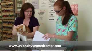 preview picture of video 'Veterinary Medical Center - Short | Union City, CA'