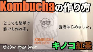 【コンブチャの作り方】【1次発酵】Kombucha 腸活｜ダイエット｜キノコ紅茶｜バンクーバー|