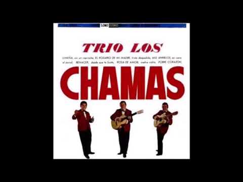 Los Chamas  -  Desde Que Te Fuiste