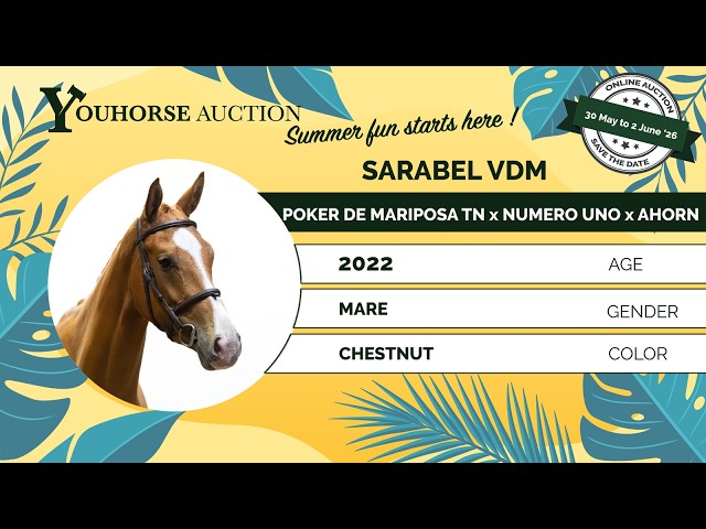 Sarabel