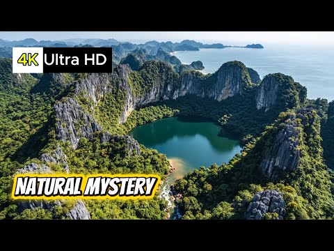 Nature Formed After The Apocalypse | 4K Ultra | Decoding The Cosmos