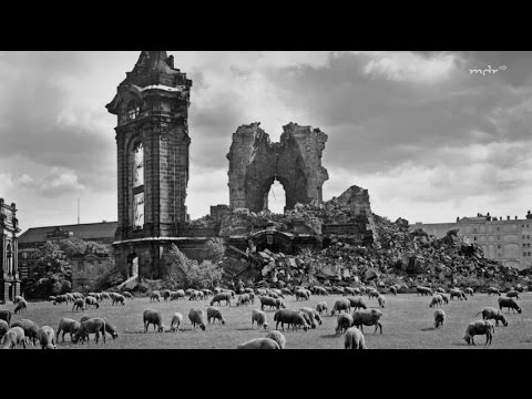 Mythos Dresden - Der lange Schatten einer Bombennacht