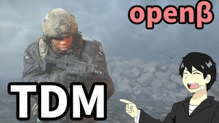 [CODMW]オープンベータで暴れてきましたぁ！！[実況]