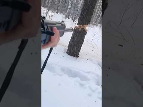 Cutting down a tree with an AK Saiga 12 shotgun #shortsfeed #shortsvideo #shortvideo  #subscribe