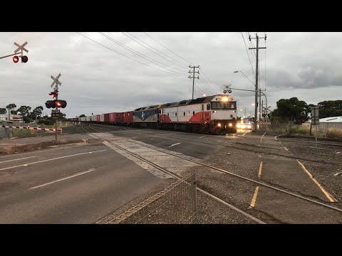 G Classes - Ultima Freight