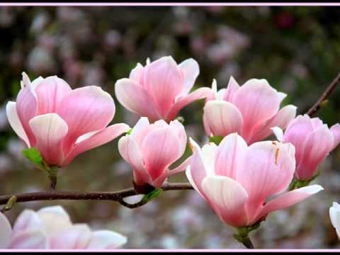 Kevin Kern-Sundial Dreams