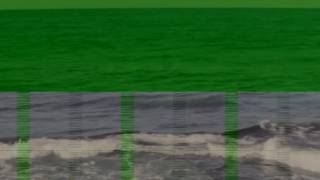 Feu Robertson "Haunting Old Joys"