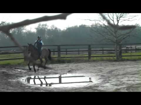 Essaie 2 - Caroline NICOLAS - once Again Bornissois (Chez Jean-Marc NICOLAS).MP4