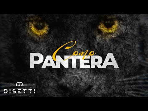 Richie Valdes - Como Pantera (Video Lyric) | Salsa Romántica