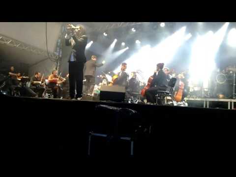 Marley in Camerata no trapiche da Beira Mar Floripa SC