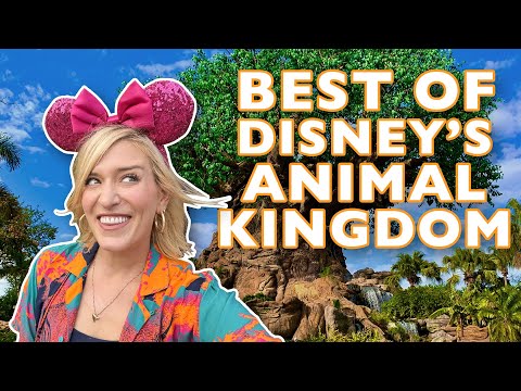 YOU Picked Our BEST Day In Disney World: Animal Kingdom | Rides, Snacks, Shows