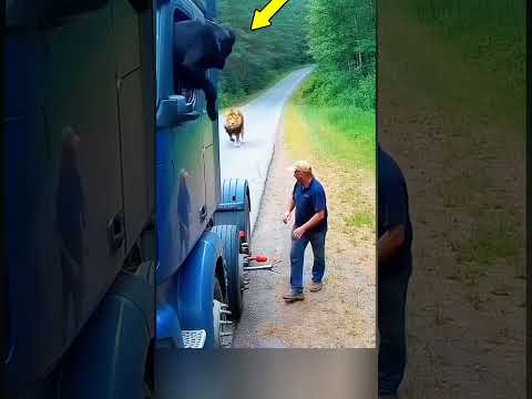 دور الاخ الاكبر في الحياة 🤔🤔 #shortvideo