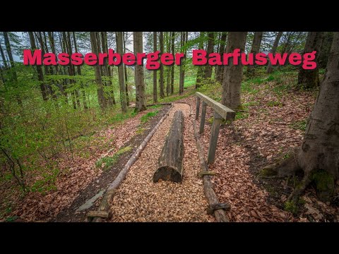 🦶🏼 Der Barfußweg in Masserberg / Thüringen / Thüringer Wald