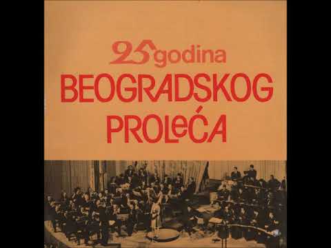 Dragan Stojnić - Voz