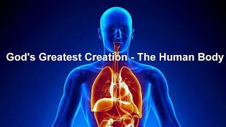 God's Greatest Creation...The Human Body..!!