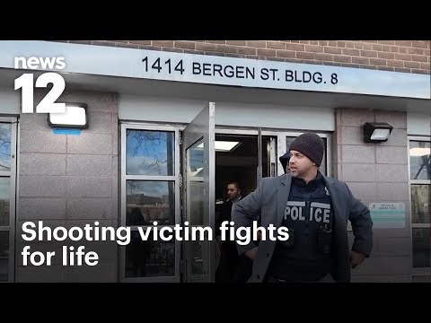 Man shot in head at Brooklyn apartment building | News 12