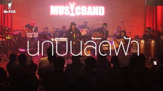 นกบินลัดฟ้า – มาลีฮวนน่า