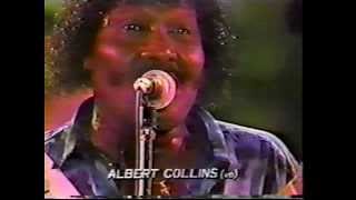 Albert Collins - Live @ Mt. Fuji Fest., Japan 1992!